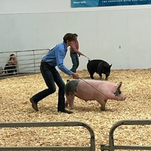 Meet your Posher, Jayce